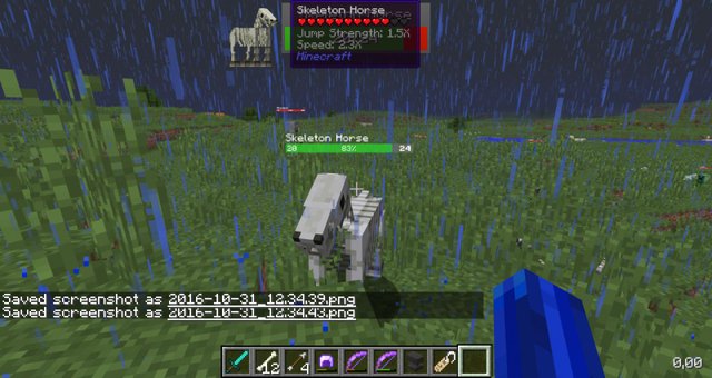 How To Get And Tame A Skeleton Horse In Minecraft