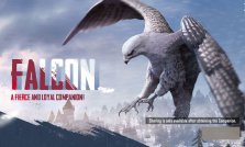 पब्जी कम्पैनियन यूज़- एक पब्जी मोबाइल में एक कम्पैनियन क्या करता है? कैसे एक कम्पैनियन माने साथी को पाया जाए?