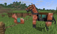 Complete Guide to Unlocking the 'Two by Two' Advancement in Minecraft