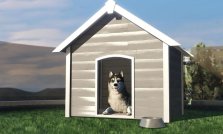 Getting Pets in GTA Online Mansions Update: All Pets, Prices, and Details