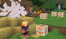 Minecraft 26.2 Snapshot 5 Introduces Sulfur Cubes and Geysers for Explosive New Adventures