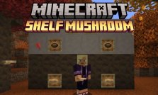 Everything You Need to Know About Shelf Mushrooms in Minecraft 26.3