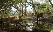 Leonida's Wildlife So Far: Animals Confirmed in GTA 6