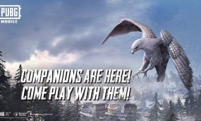 How To Unlock Companion In PUBG Mobile For Free 2020?