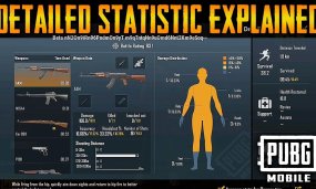 What Does PUBG Mobile Detailed Statistics Mean?