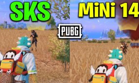 Mini-14 Vs SKS: Which DMR Is Better In PUBG Mobile?