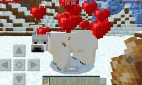 How To Tame And Breed Polar Bears In Minecraft 2025
