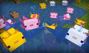 What Are The Rarest Mob Variants In Minecraft 26.1?