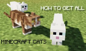 How To Get ALL Minecraft Cats And What They Do (Updated for 1.21)