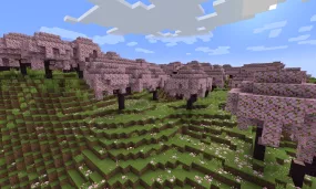 Wood Tier List In Minecraft 2025