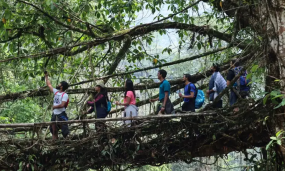 The Rise of Adventure Travel: Exploring New Frontiers