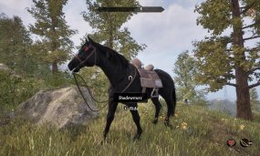 How to find Shadowmere (If You Lost Her) in Oblivion Remastered