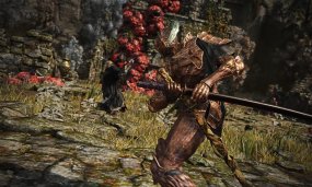 Can you play Elden Ring Nightreign solo?