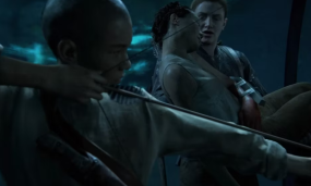 Seraphite Details Uncovered By A The Last of Us 2 Player