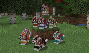 Origins of New Minecraft Wolf Variants Unveiled By a Player