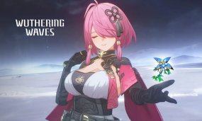 Wuthering Waves Iris Locations: How To Farm & Use Iris Flowers