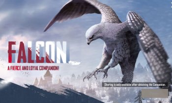 पब्जी कम्पैनियन यूज़- एक पब्जी मोबाइल में एक कम्पैनियन क्या करता है? कैसे एक कम्पैनियन माने साथी को पाया जाए?