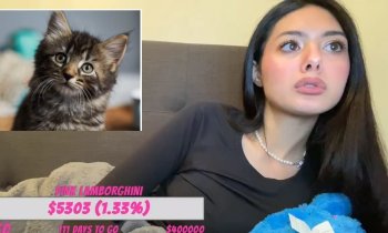 Twitch Streamer Tessi Under Controversies After Abusing Pet On Live Stream