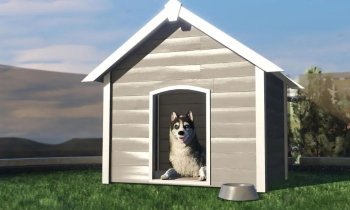 Getting Pets in GTA Online Mansions Update: All Pets, Prices, and Details