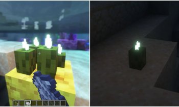 Minecraft Sea Pickle Guide