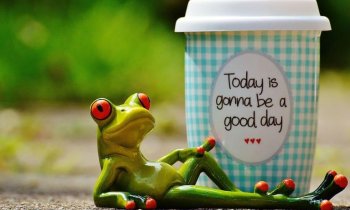 The Gamified Workplace: Why Big Tech is Hiring Casino Architects