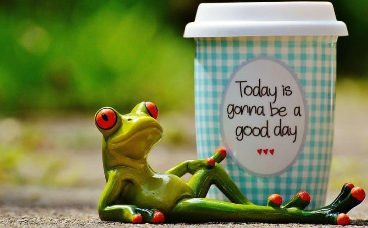 The Gamified Workplace: Why Big Tech is Hiring Casino Architects