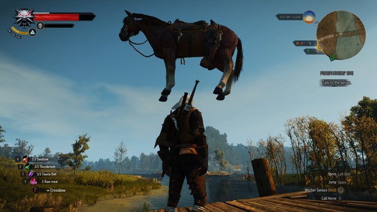 witcher 3 roach glitch