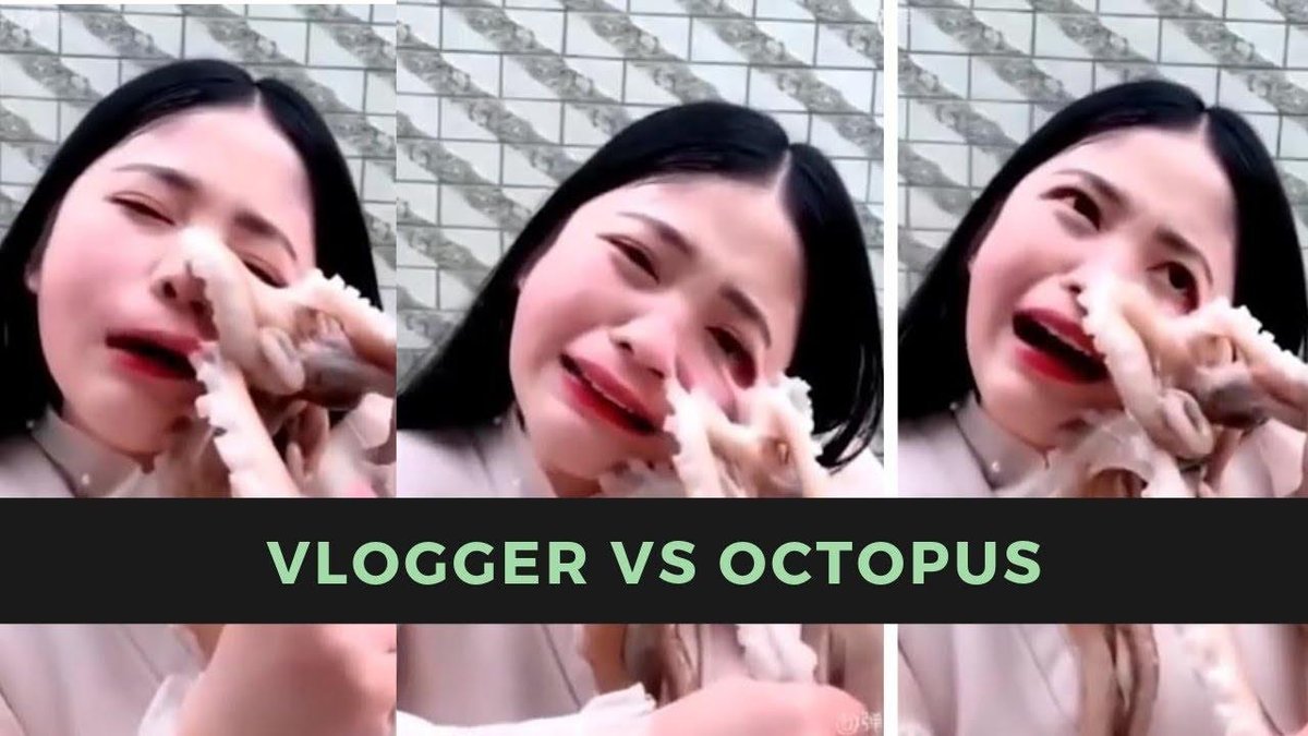 Vlogger Accepted A Challenge Eating An Octopus But It Also 