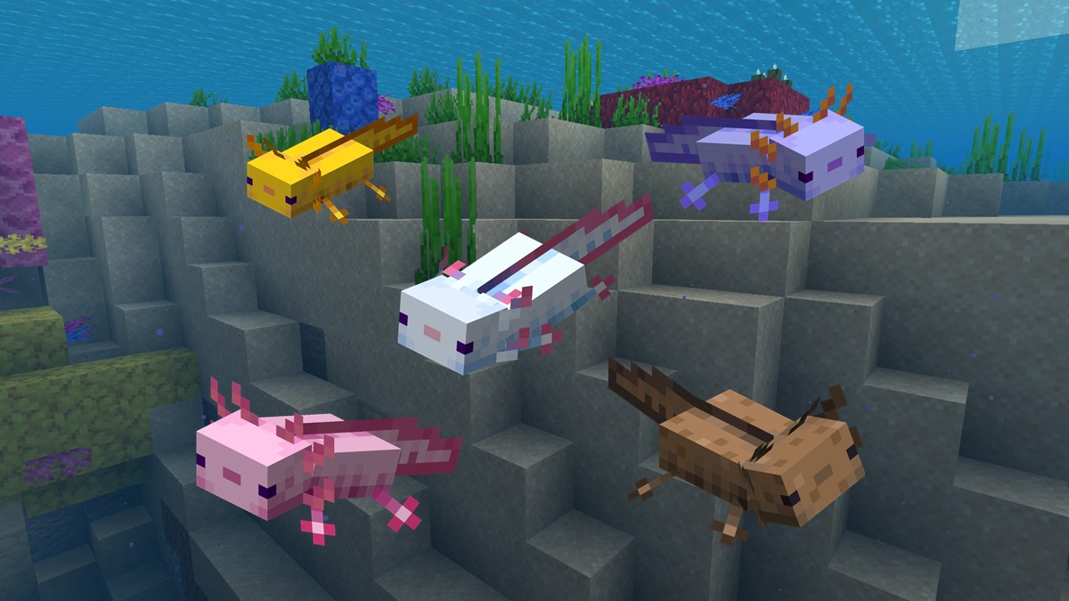 How To Breed Axolotls In Minecraft 1 17 Update Gurugamer