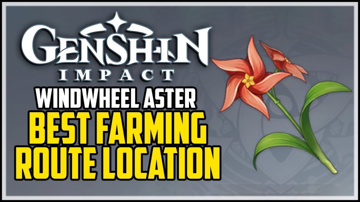Top 9 Best Locations To Find Windwheel Aster In Genshin Impact