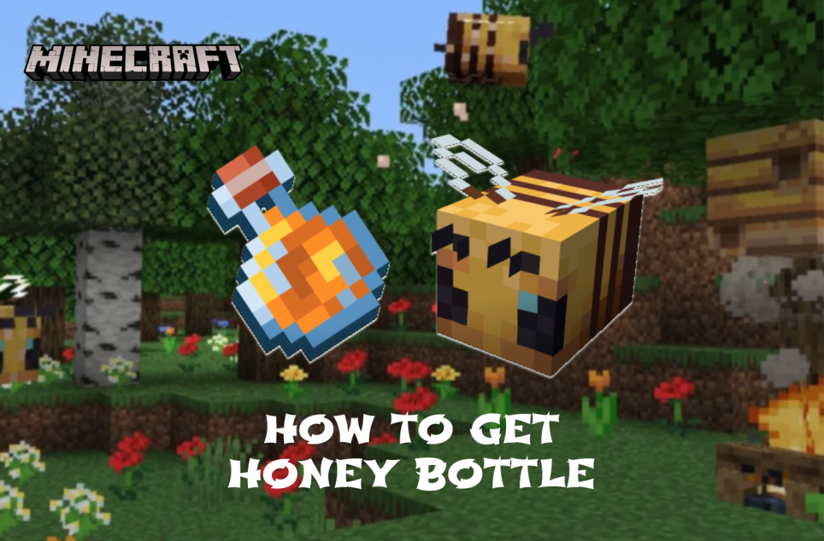 How To Get Honey Bottle Minecraft & Its Uses Until Update 1.21