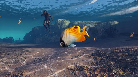 Assassin creed odyssey underwater creature