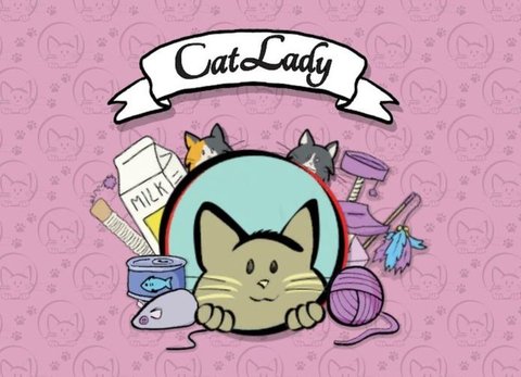 Cat Lady The Card Game 1 696x503