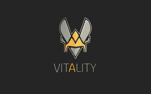 French Esports Club Team Vitality Raises 2 5 Milli