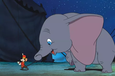 Dumbo 0 0