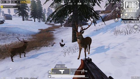 Pubg Cold Mode Deer