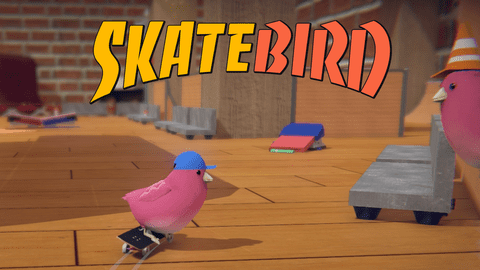 Skatebird1