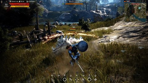 Black Desert's optimization for PS4