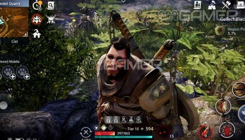 Black Desert Mobile Graphics F118_wm