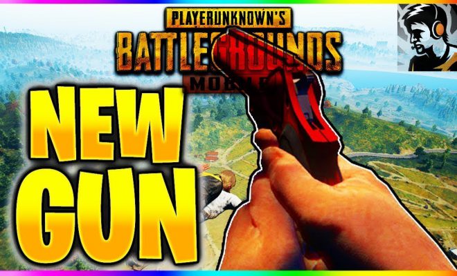 Káº¿t quáº£ hÃ¬nh áº£nh cho pubg mobile flare gun