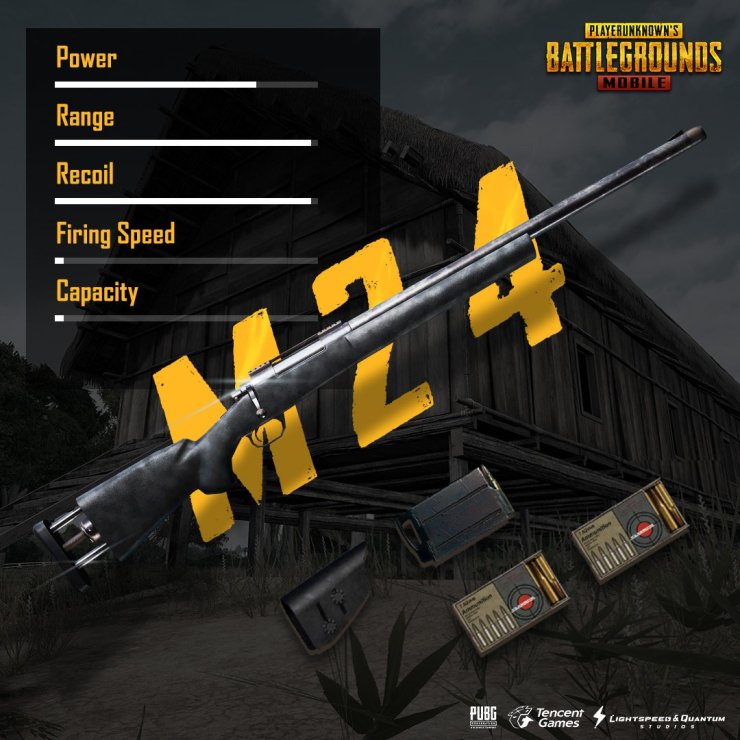 Image result for pubg m24