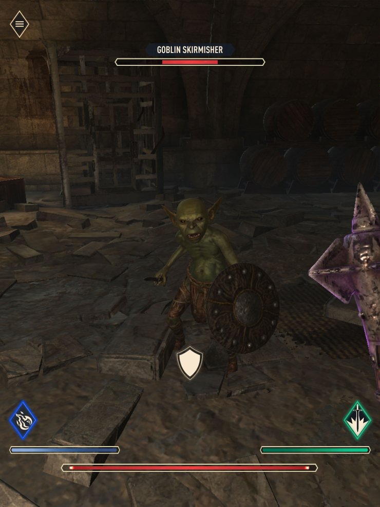 Elder Scrolls Blades Combat Portrait