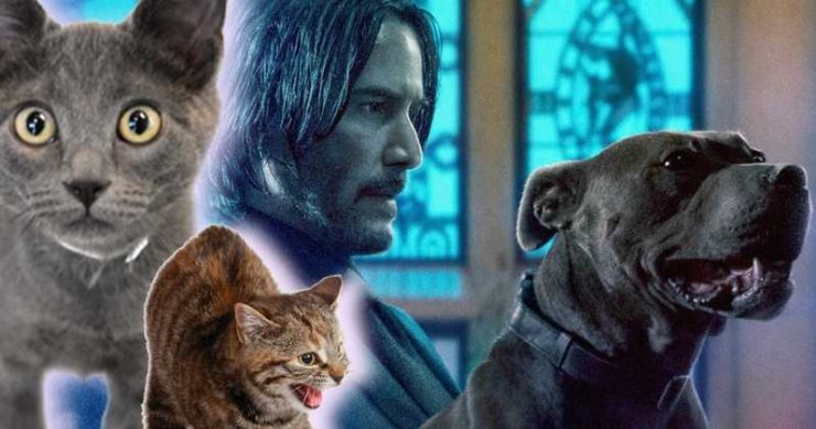 John Wick 3 Filming Was Made Chaotic By A Bunch Of