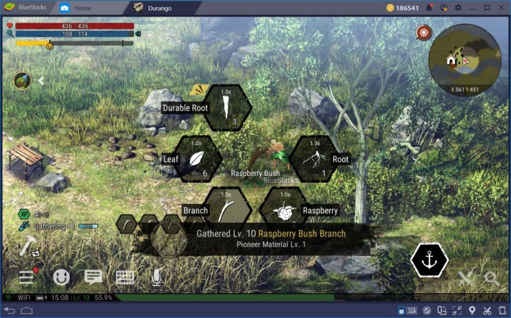 Durango Survival Basics En 2