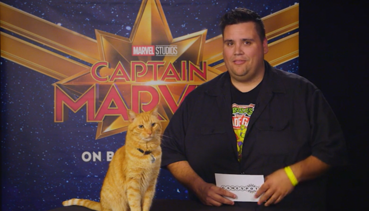 Interview With Goose The Cat From MCU Captain Marvel