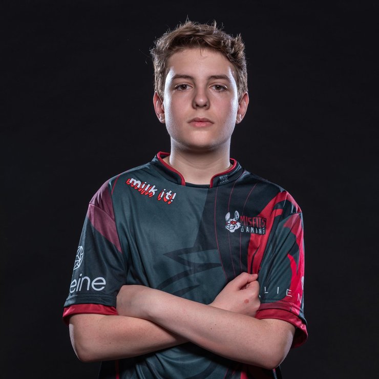 Another Fortnite Teenager Pro Player Got Swatted After Bugha - 740 x 740 jpeg 54kB