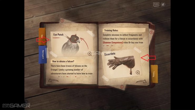 Full Explain Summon Companions Event And Falconry 5344_wm