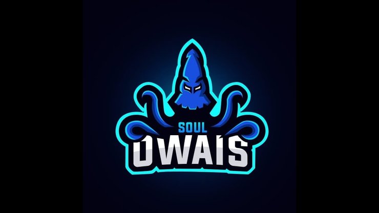 Octo Owaiss Logo