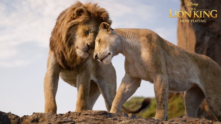 5 Biggest Box Office Hits And Flops Of 2019 2