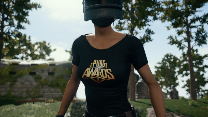 Pubg Awards Blog 07 1 711x400